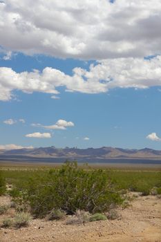 The dry landscape of the Mojave National Preserve in California.