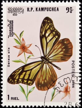 Kampuchea -  circa 1986:postage stamp features a Danaus Sita butterfly, circa 1986 in Democratic Kampuchea.