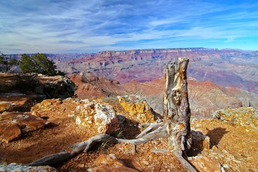 Grand Canyon Landscape from the south rim arizona america usa