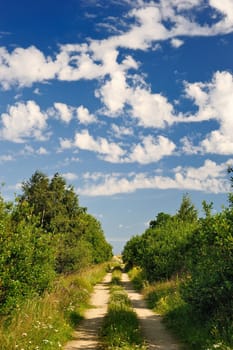 Take the scenic country road route through the forest