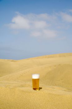 A glass of fresh beer in a desert. 