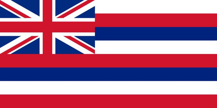 Hawaii state flag of America, isolated on white background.
