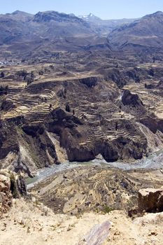 Colca Canyon Peru