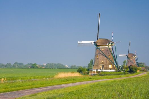 Two dutch watermills in polder landscape in spring