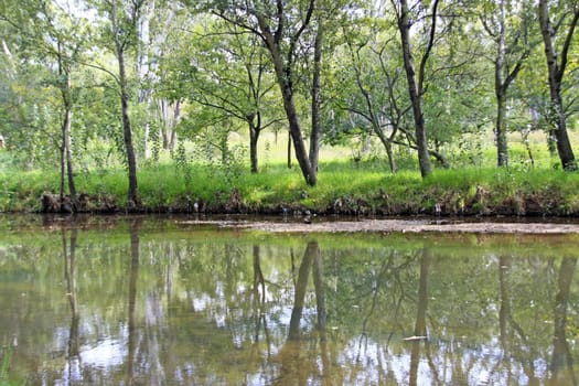 Banks of a calm lake in a nature reserve in South Africa