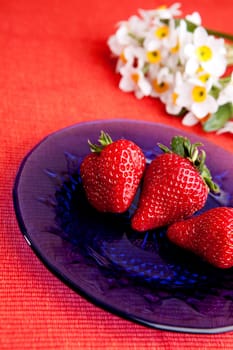 A plate with strawberries in a natural setting