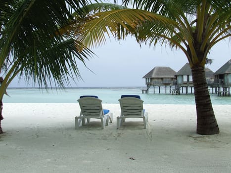 Two loungers on the beach, under palm trees