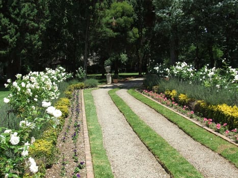 landscaped garden