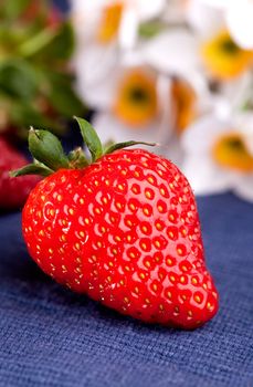 A fresh strawberry in a natural outdoor picnic setting.