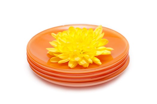 Orange plates by pile, yellow flower on them, on white background