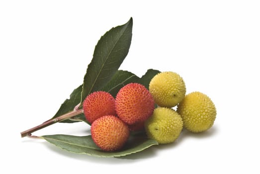 Some fruits of Arbutus unedo with leaves and flowers isolated on a white background.