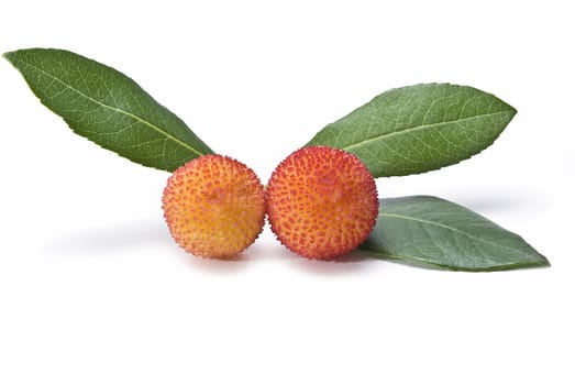 Some fruits of Arbutus unedo with leaves and flowers isolated on a white background.