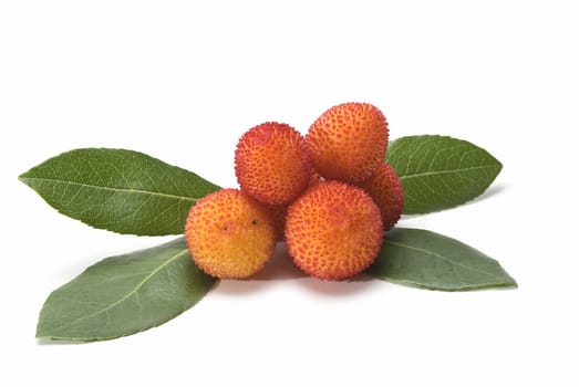 Some fruits of Arbutus unedo with leaves and flowers isolated on a white background.