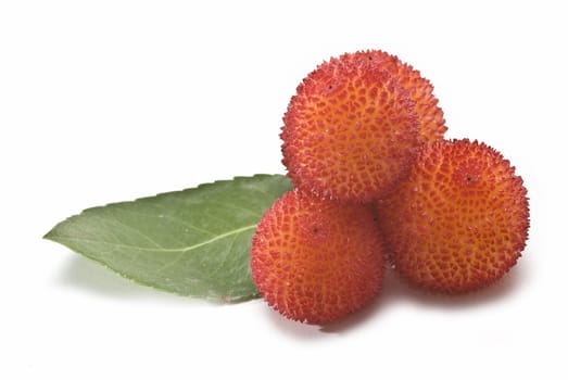 Some fruits of Arbutus unedo with leaves and flowers isolated on a white background.