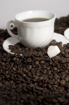 Cup of fresh coffee on white background