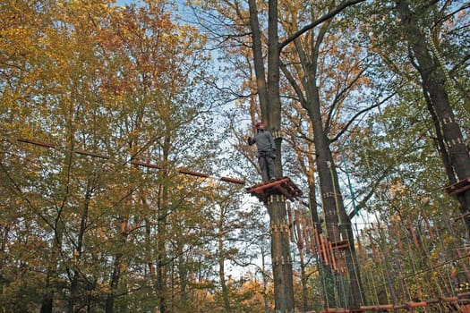 tree climbing