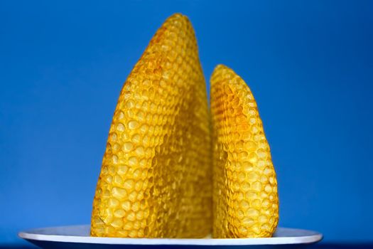 Honeycomb with honey on a plate. Blue background