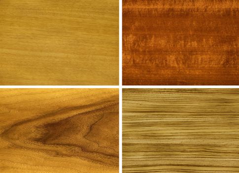 Wood, veneer of trees, from left to right and from top to down: anegri, makore, teak, zebrano.