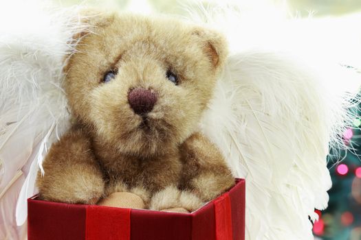 Adorable Angel Bear with wings sits all alone in a beautiful red gift box for Christmas