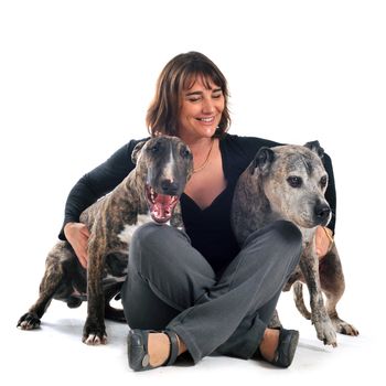 woman with american staffordshire terrier and bull terrier in front of white background
