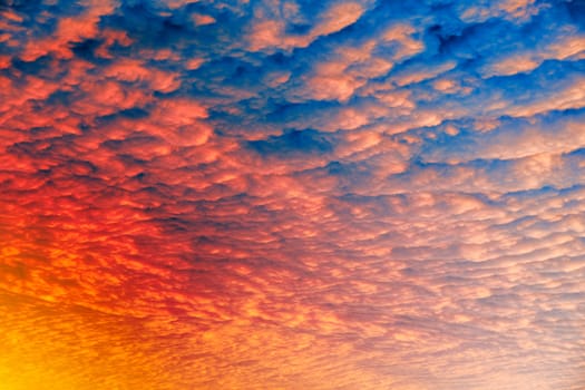 A cloud sunset background, blue and pink