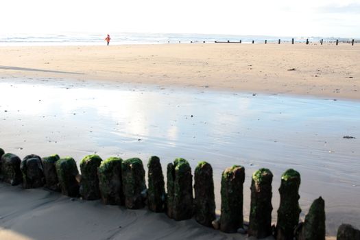 child running in the sandy beach alone but happy