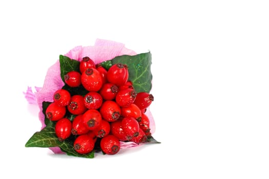 Rose hips isolated on white