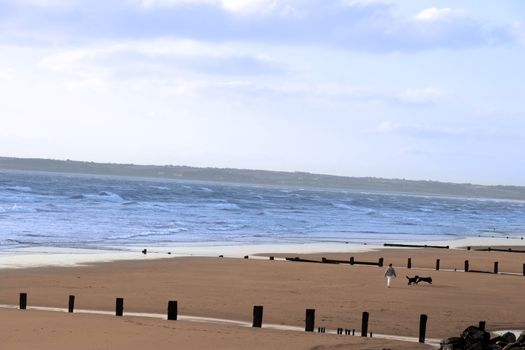 a walk with dogs on the irish coast