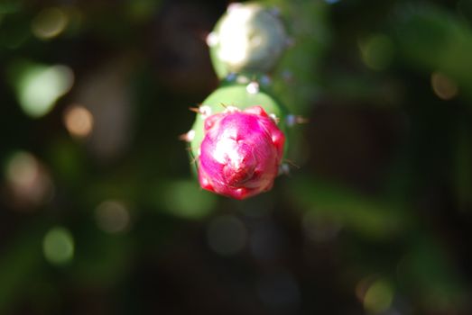 The nature in Autumn