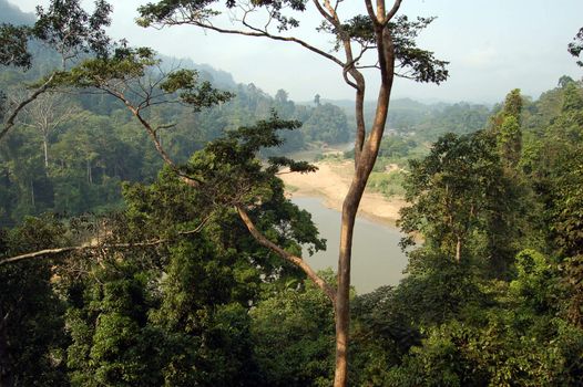 Rain Forest, River, Taman Negara National Park - Best of Malaysia