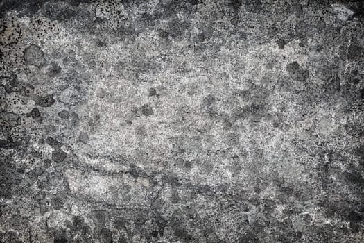 Surface of a granite gray rock with lichen stains - a stone background