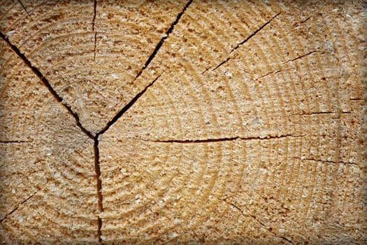 Rough raw wood with concentric rings and cracks