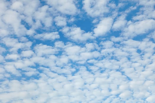 The summer day blue sky with easy clouds