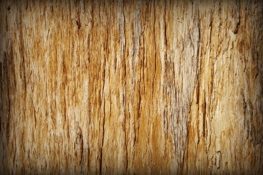Background - a surface of a brown rotten tree with cracks