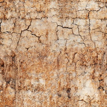 Seamless texture - the surface cracked clay soil
