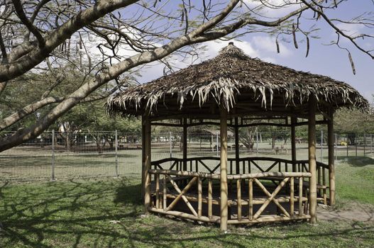 Bamboo gazebo in indonesian public garden under a tree