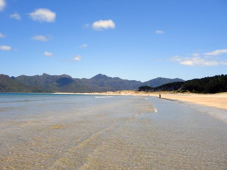 Whangapoua Beach, Great Barrier Island, New Zealand