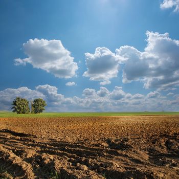 Plowed agricultural field with beautiful  bright sky