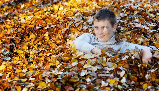 Happy boy in yellow and orange autumn leaves