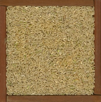 long grain brown rice in a rustic, wooden frame or box
