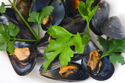 Boiled mussel with parsley, oil and lemon and garlic