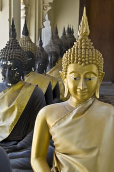 lots of statues of buddha sitting in lines