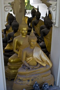 lots of statues of buddha sitting in lines