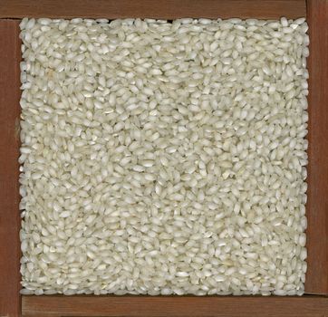 arborio rice used for traditional Italian meal, risotto,  in a rustic wooden frame or box