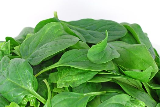 Bunch of spinach isolated on white background