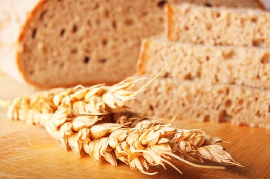 bread and grain or cereal showing food baker or bakery concept