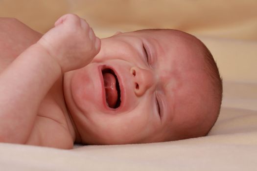 caucasian baby girl crying, beige background