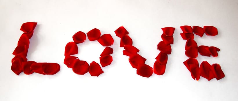 design made with rose flower petals for valentine love