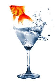 goldfish in drink glass showing jail prison free or freedom concept