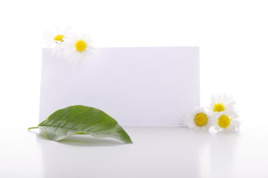 blank paper card with copyspace and green nature